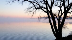 Tranquil Sunrise Over the Lake – free AI stock image