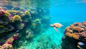 Underwater Paradise: Coral Reef Life – free AI stock image