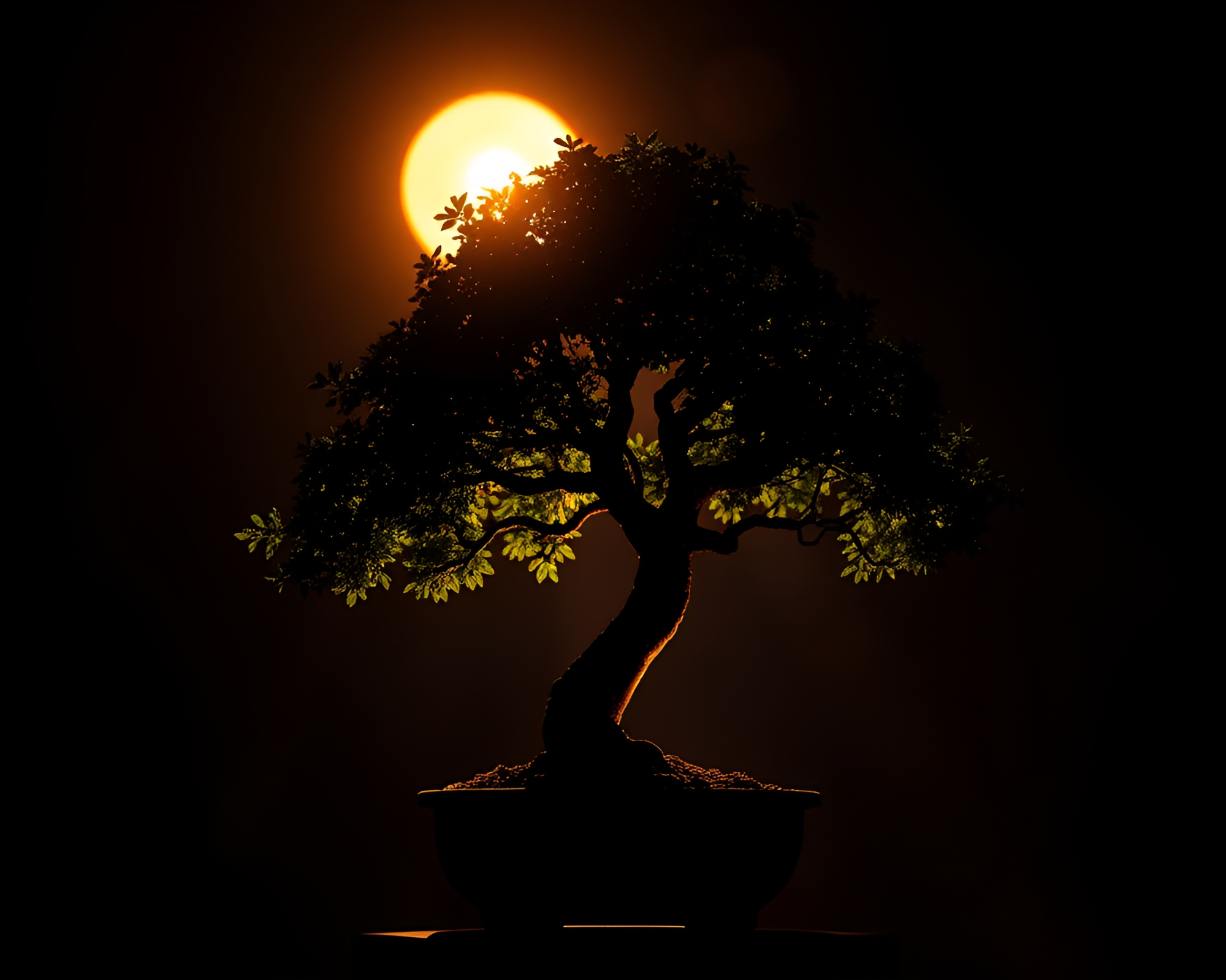 Pixelated Bonsai Silhouette in Disco Ball Glow – free AI stock image