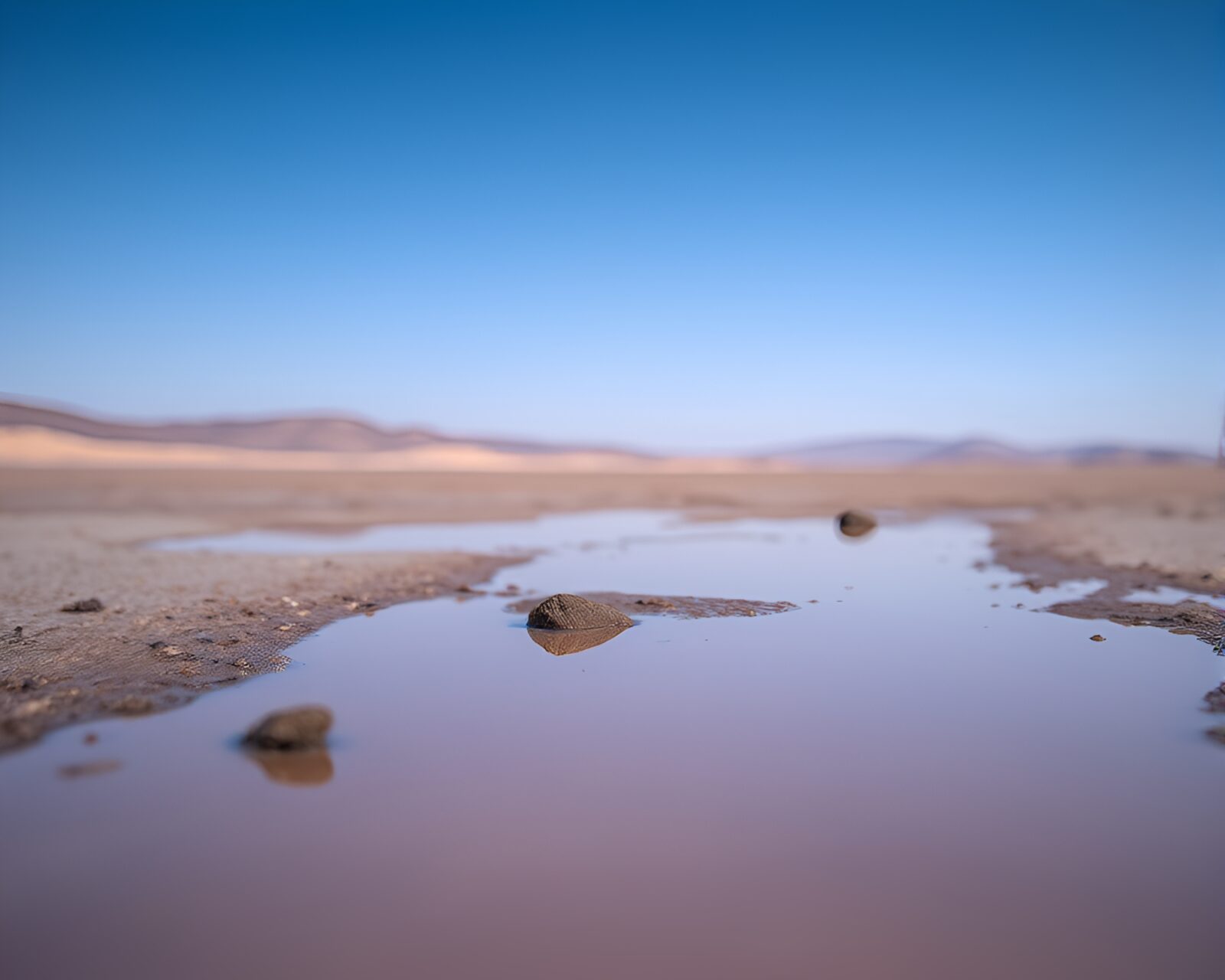 Dreamy image of glowing desert landscape reflected in a puddle
