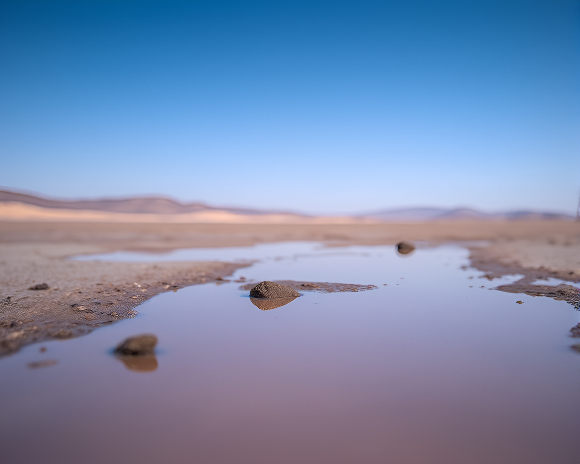 Desert Mirage: Phosphorescent Puddle Reflection – free AI stock image
