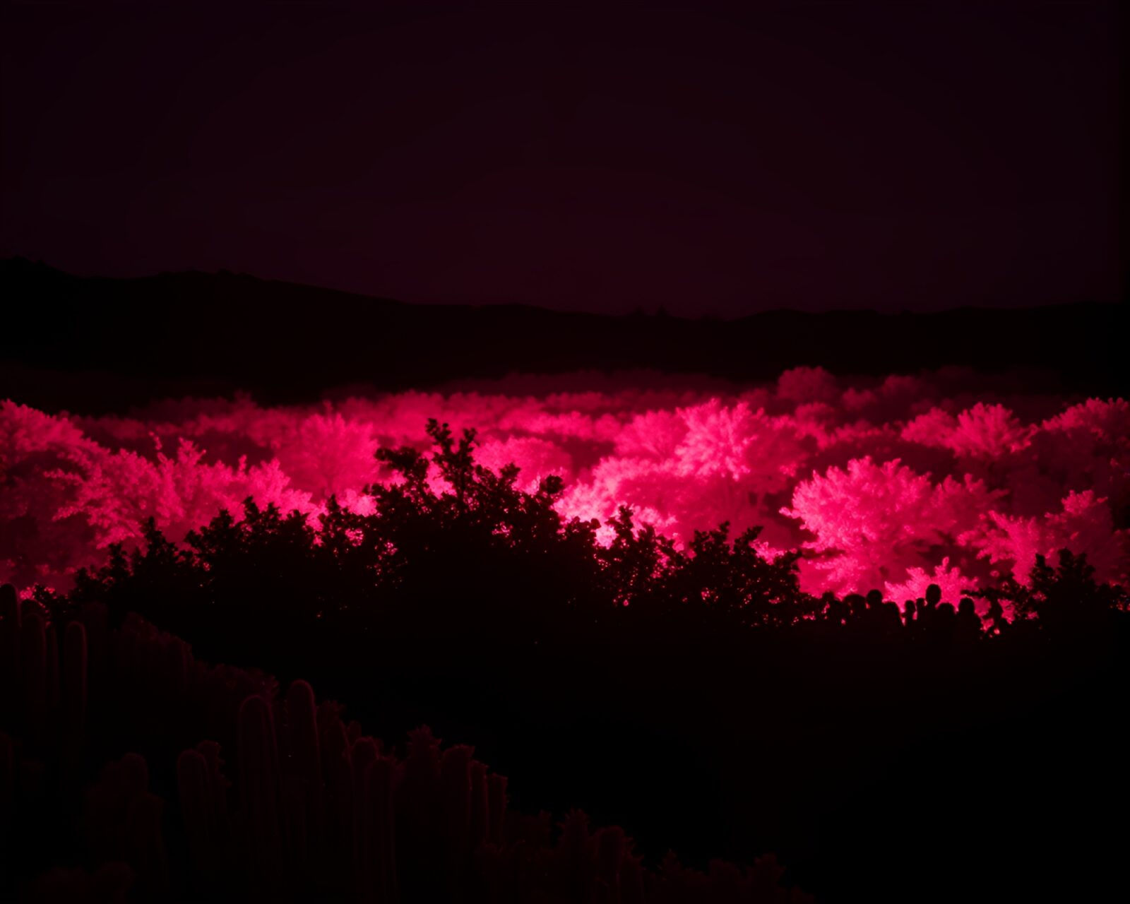 Silhouettes of people amidst dark shrubbery, bathed in eerie light