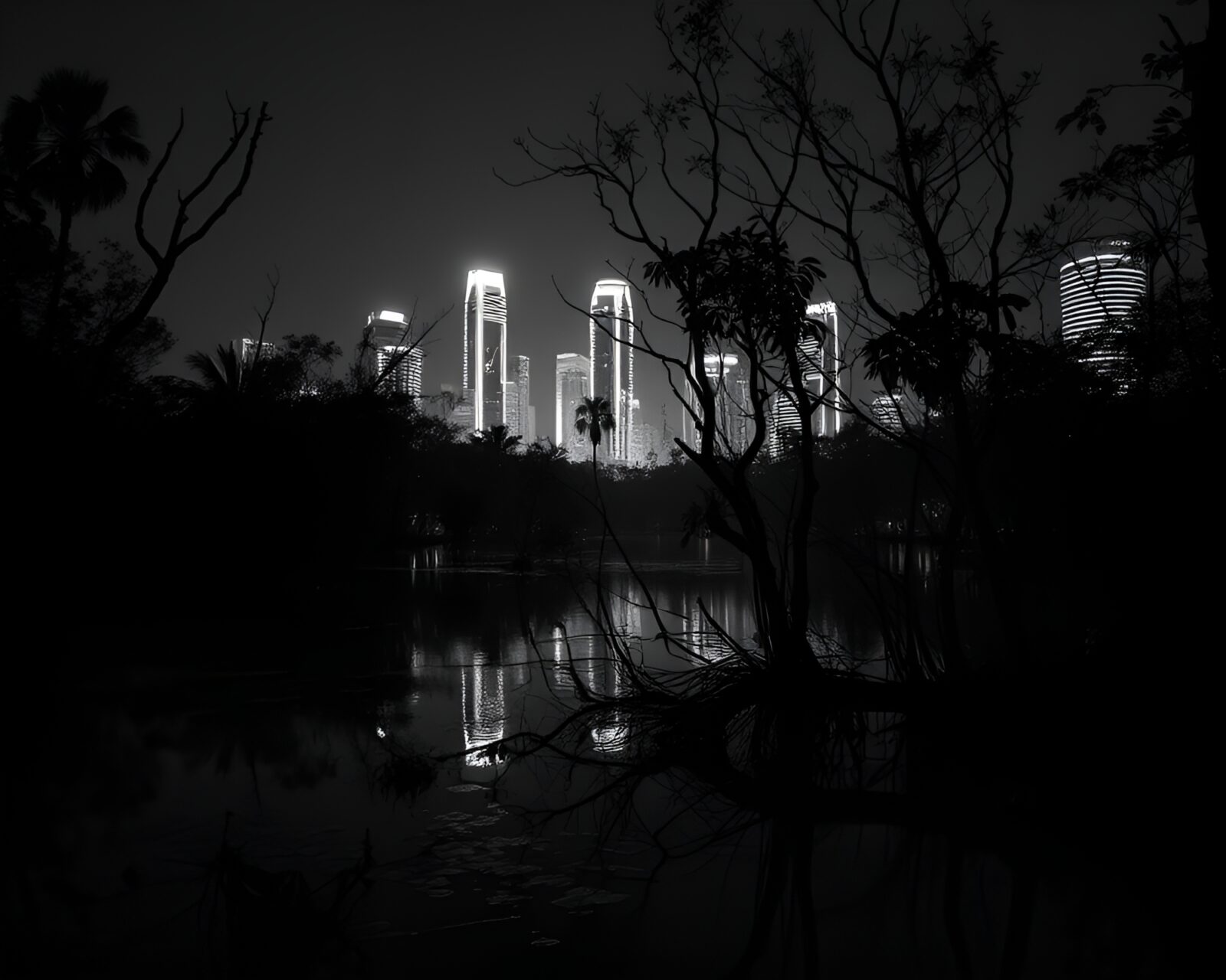 Black and white image of neon city lights in mangrove swamp