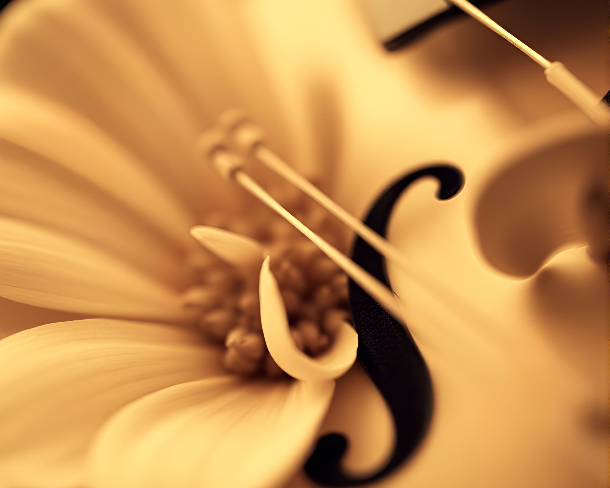 Ethereal Violin Symphony in Sepia Macro Florals – free AI stock image