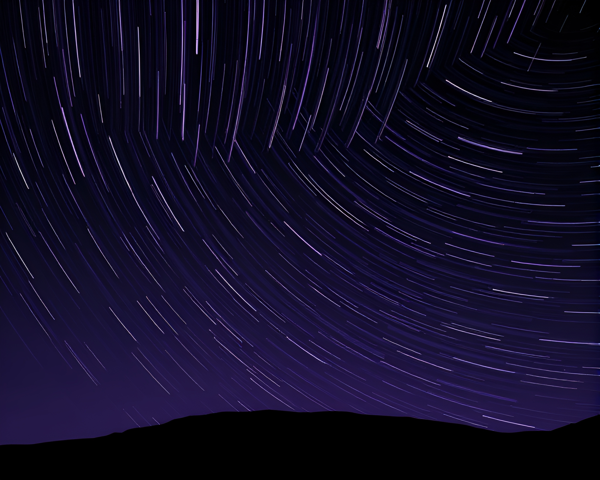 Twilight Basilisk Amidst Star Trails in Black and White – free AI stock image