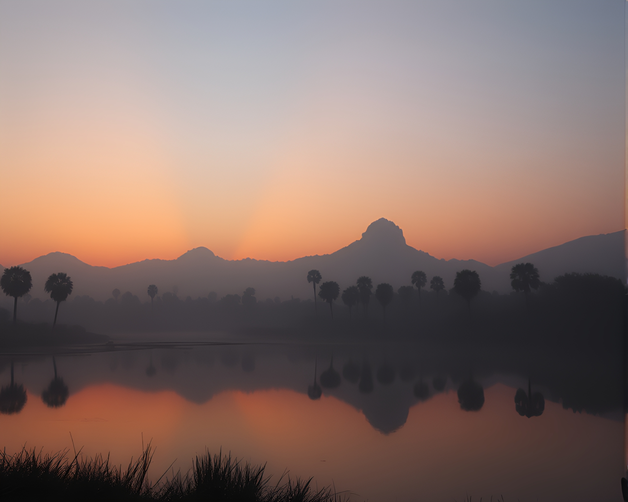 Oasis Reflections: Engraved Dawn Silhouette Mist – free AI stock image