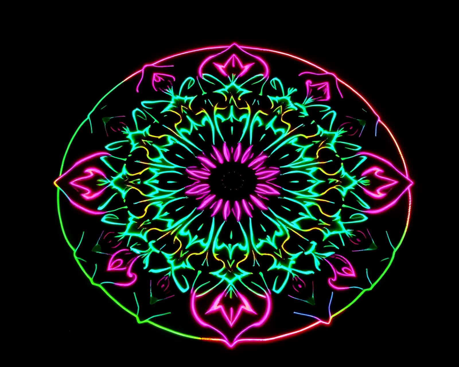 Glowing botanical mandala design reflecting on wet street
