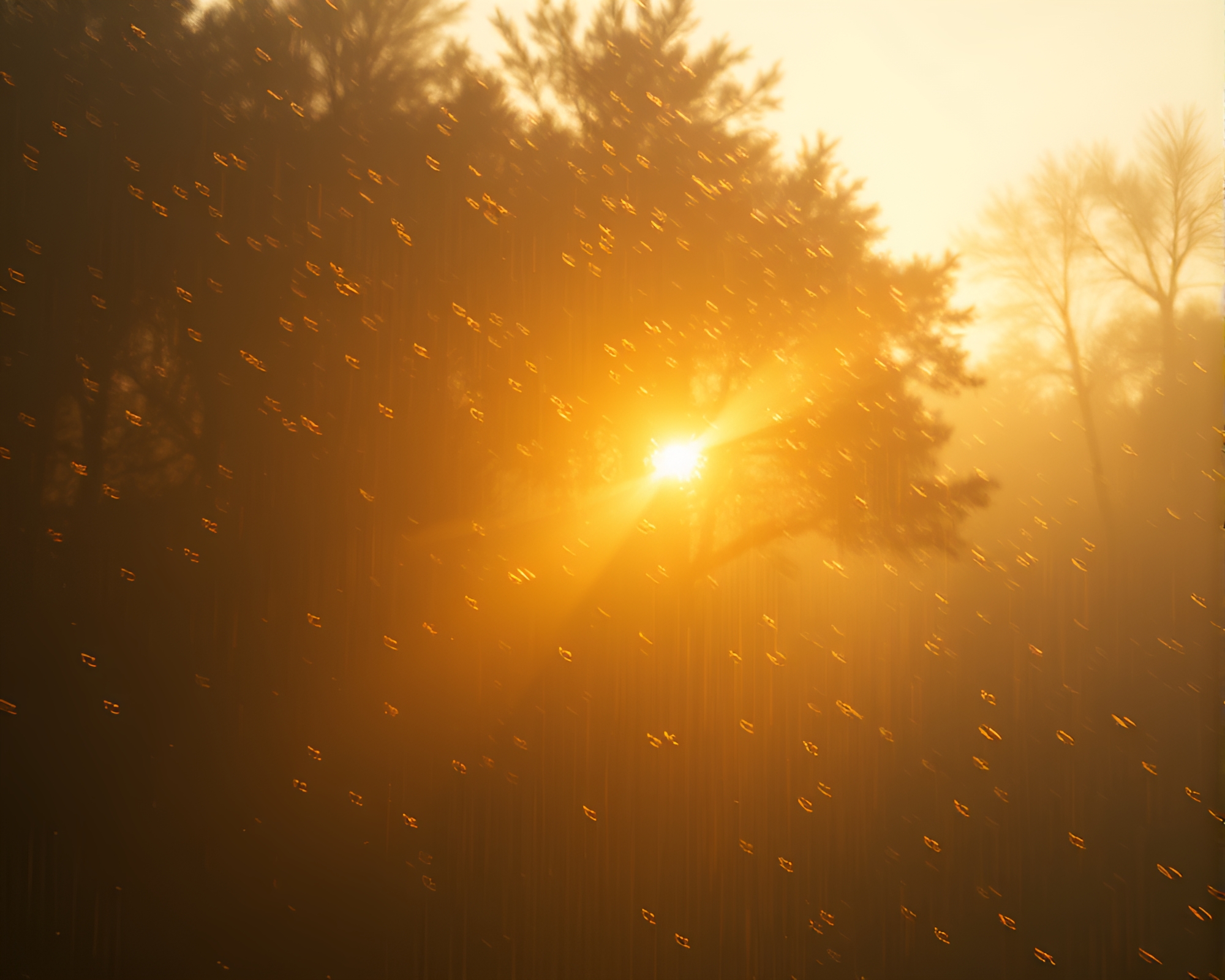 Digital Glitch Morning Light Rendering – free AI stock image