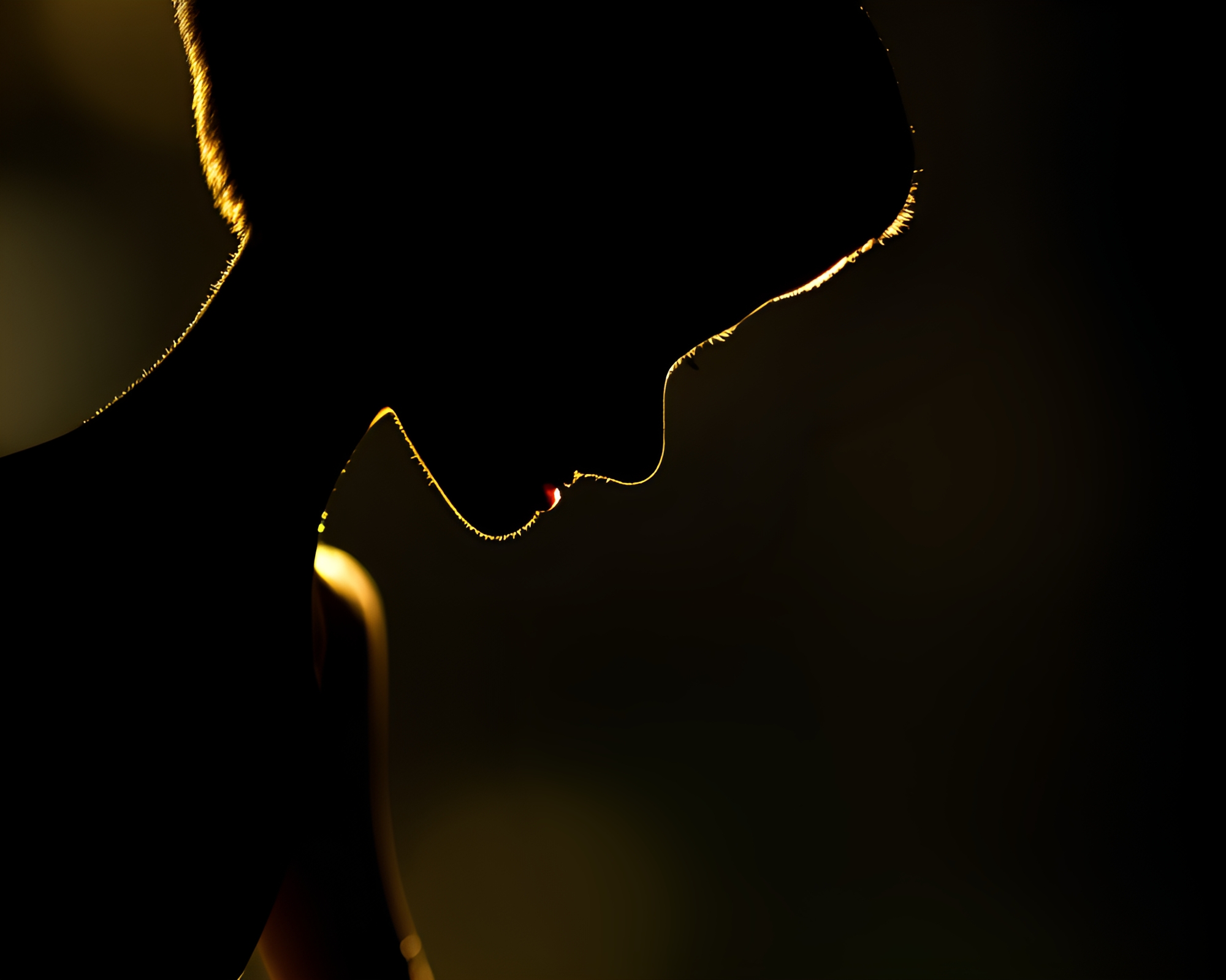 Mystical Elf Backlit Silhouette: Enchanting Macro Detail – free AI stock image