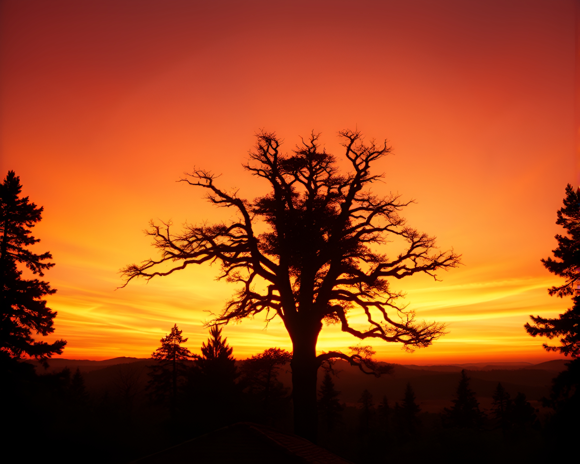 Enchanted Treehouse at Sunset – free AI stock image
