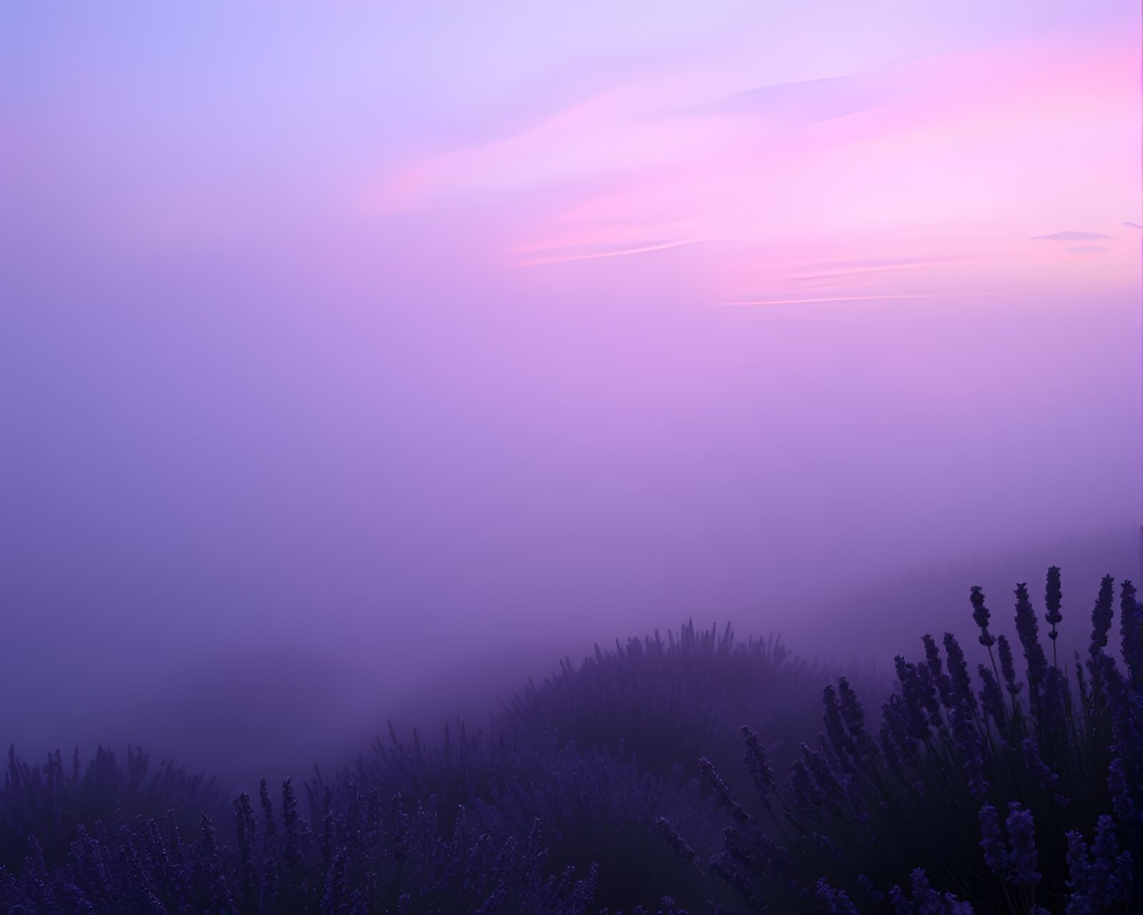 Holographic textured landscape with twilight fog on plateau