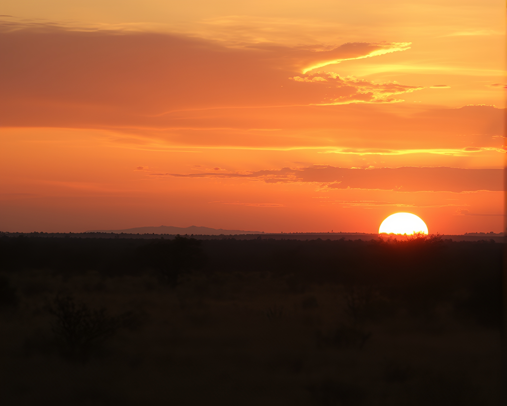 Savanna Sunset Dust Particles Stipple Shading Scene – free AI stock image