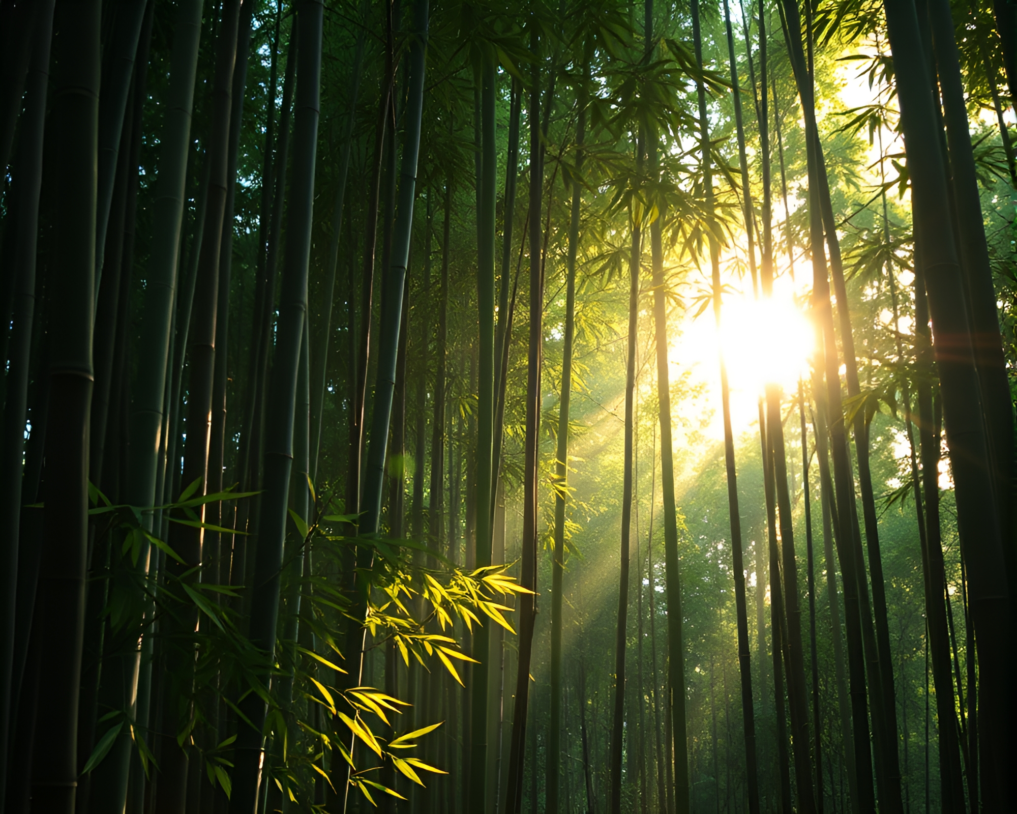 Iridescent Shadows in Hyper-Realistic Bamboo Grove Scene – free AI stock image