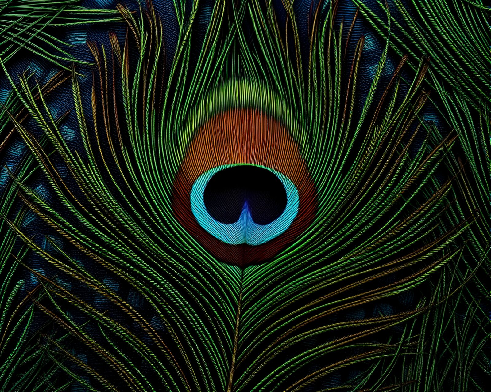 Oil-rich textured hyper-realistic image of stitched peacock feather
