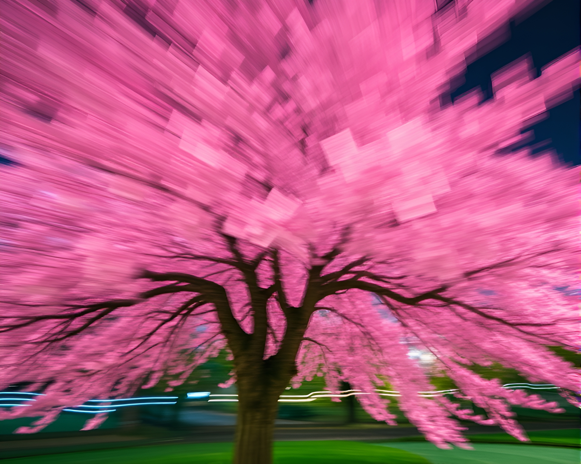 Vibrant Cherry Blossom Tree with Neon Motion Blur – free AI stock image
