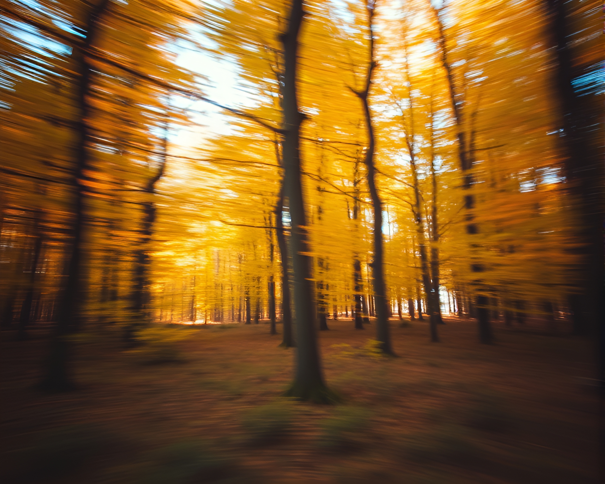 Autumn Light Trails in Expired Film Style Action Painting – free AI stock image