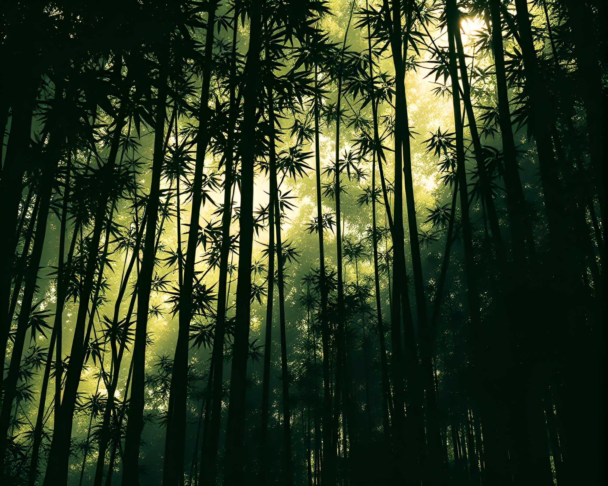 Bamboo Grove Shadows: Graphic Novel Kaleidoscope – free AI stock image