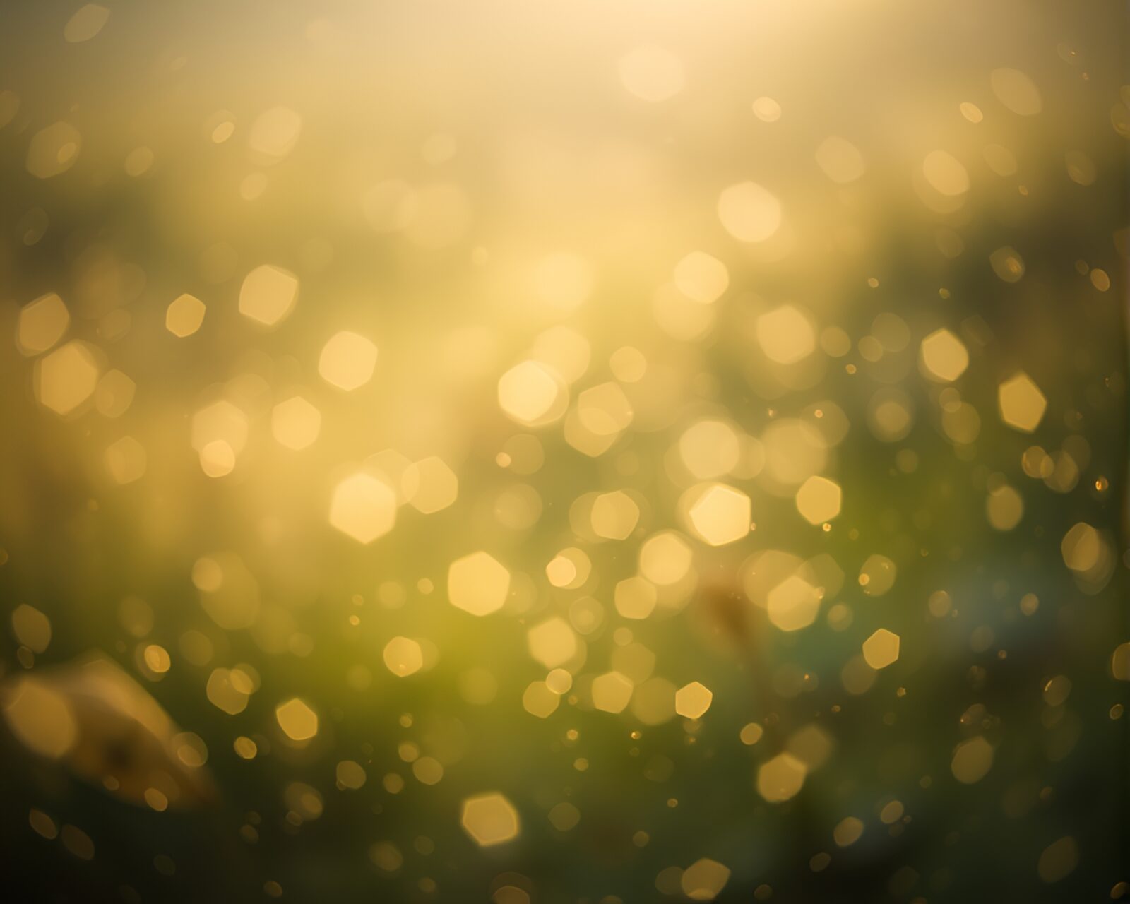 Majestic valley with twinkling stardust under soft focus lighting