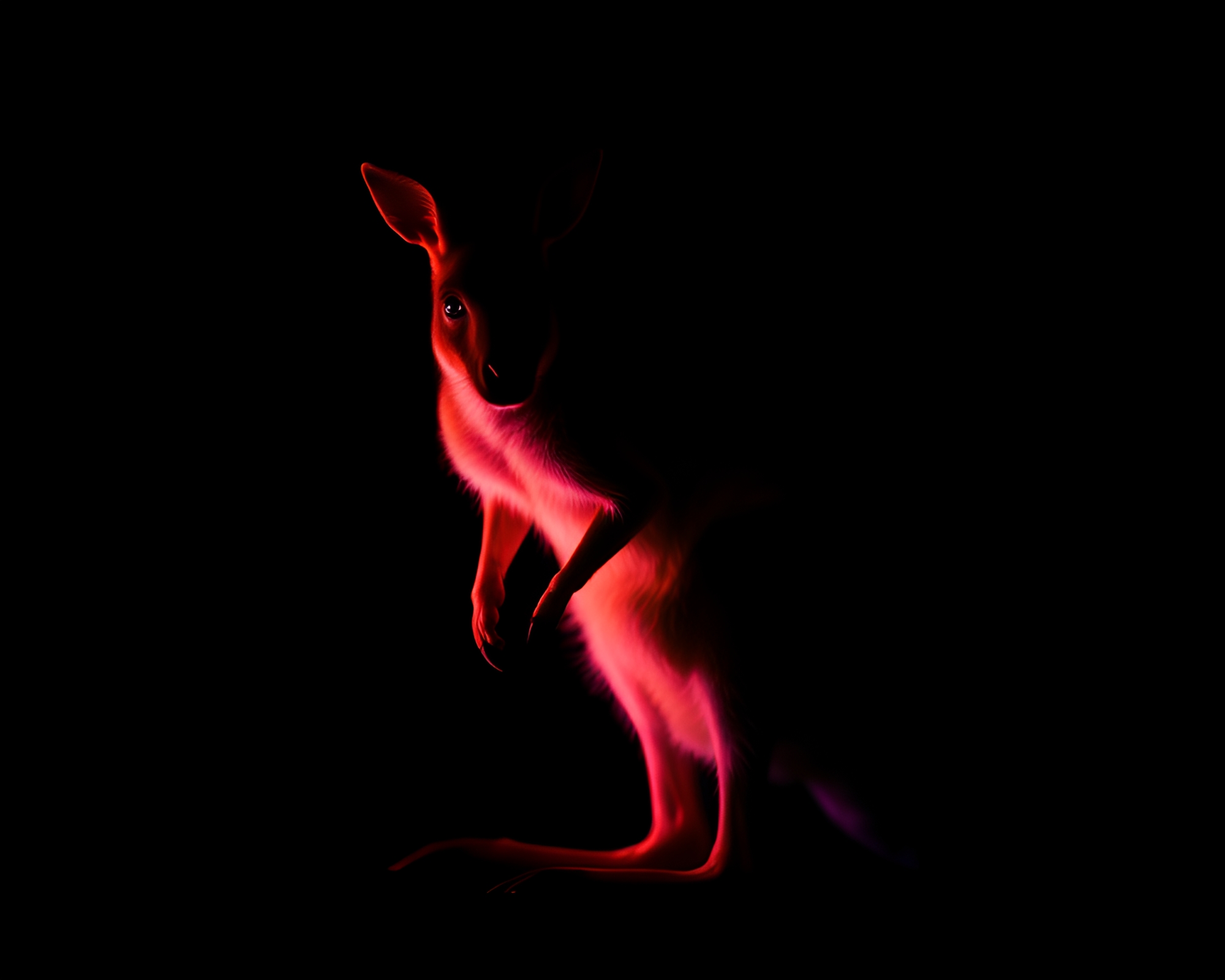Phosphorescent Kangaroo in Studio Shot with Slow Shutter Style – free AI stock image