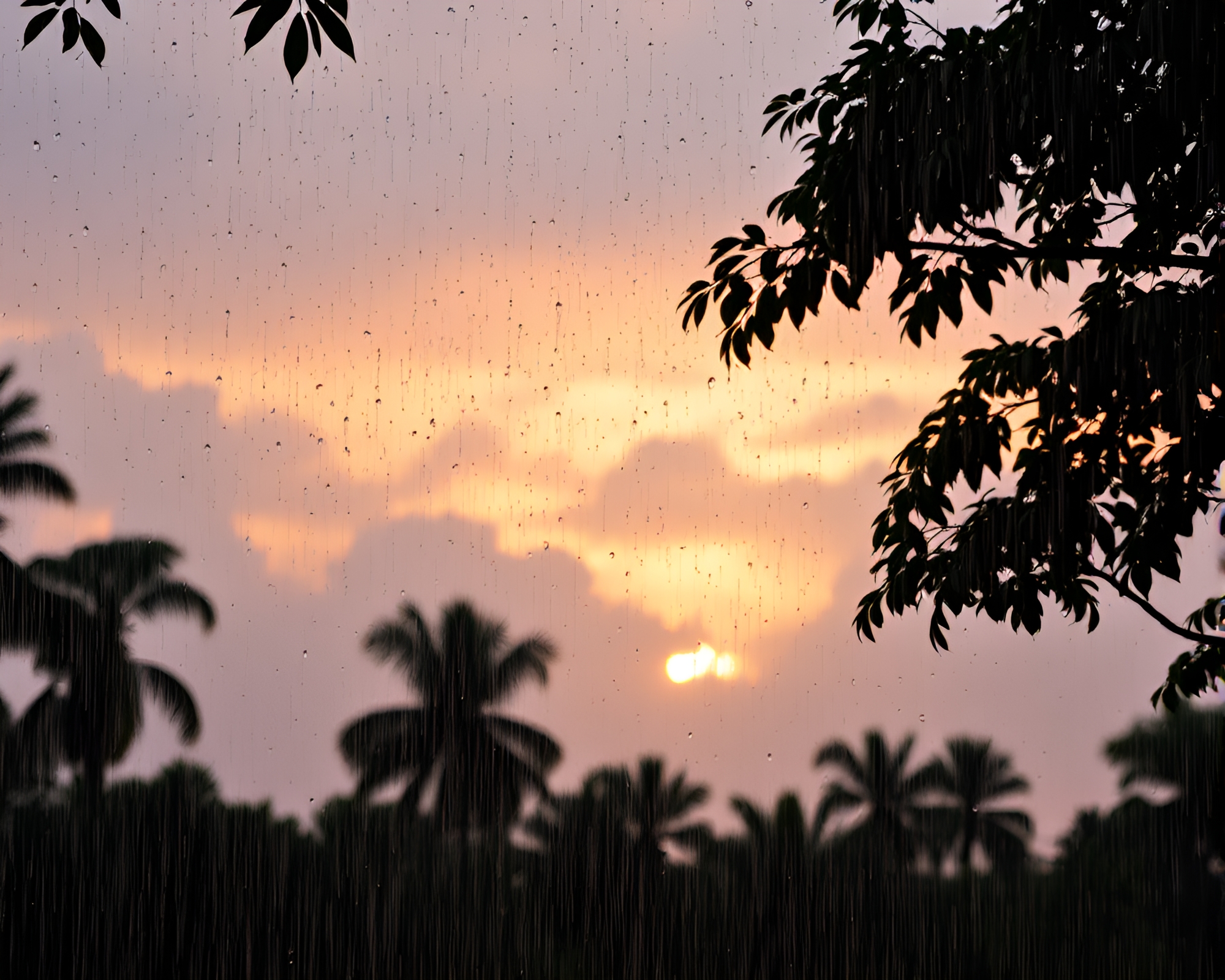 Rainforest Canopy Sunrise Silhouette with Rain Droplets – free AI stock image