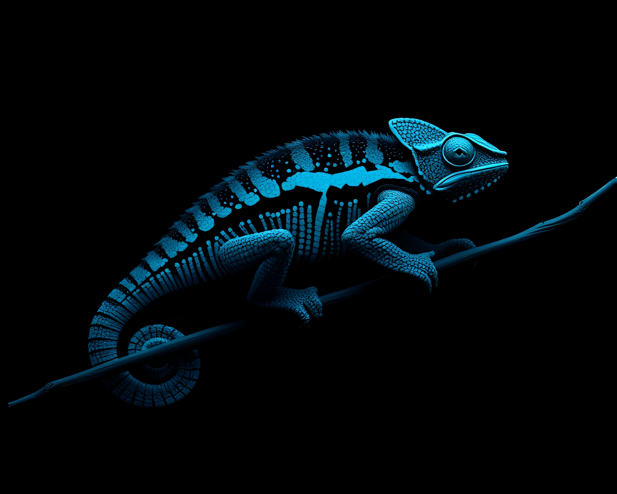 Chameleon Data Visualization: Monochrome Blue Minimalism – free AI stock image