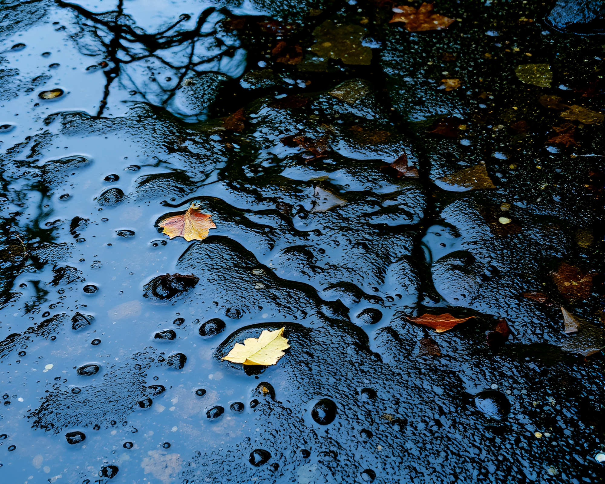 Rainy Reef Reflections: Leaf Litter Stipple Scene – free AI stock image