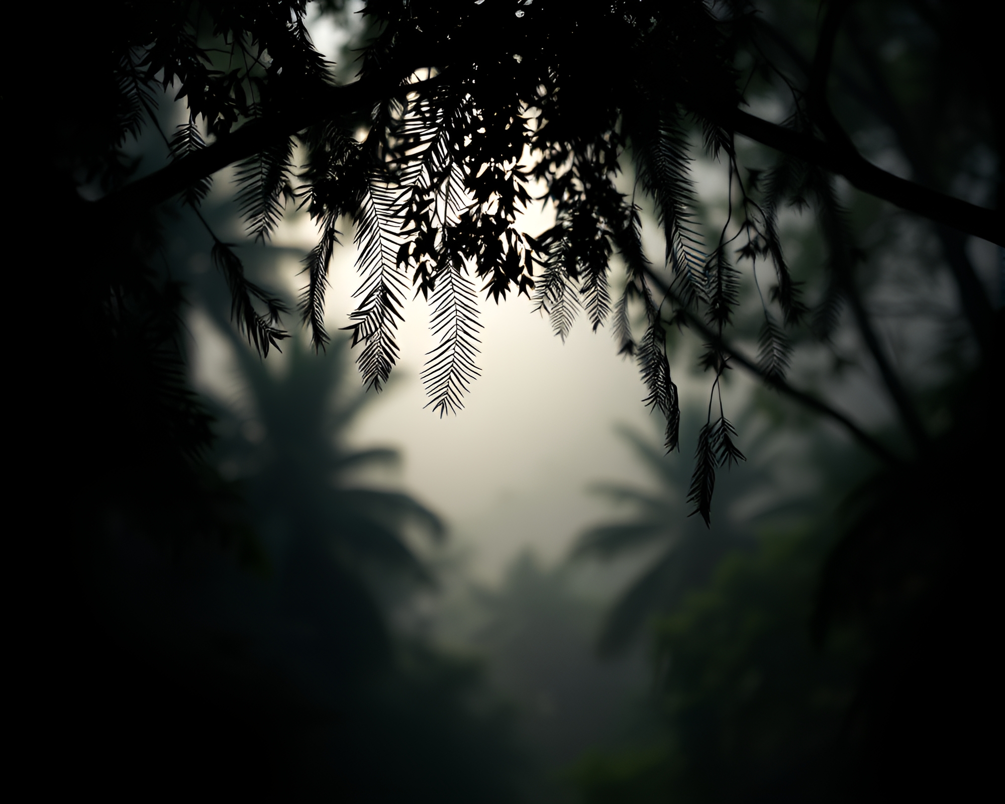 Enigmatic Vampire Silhouette in Jungle Canopy Shadows – free AI stock image