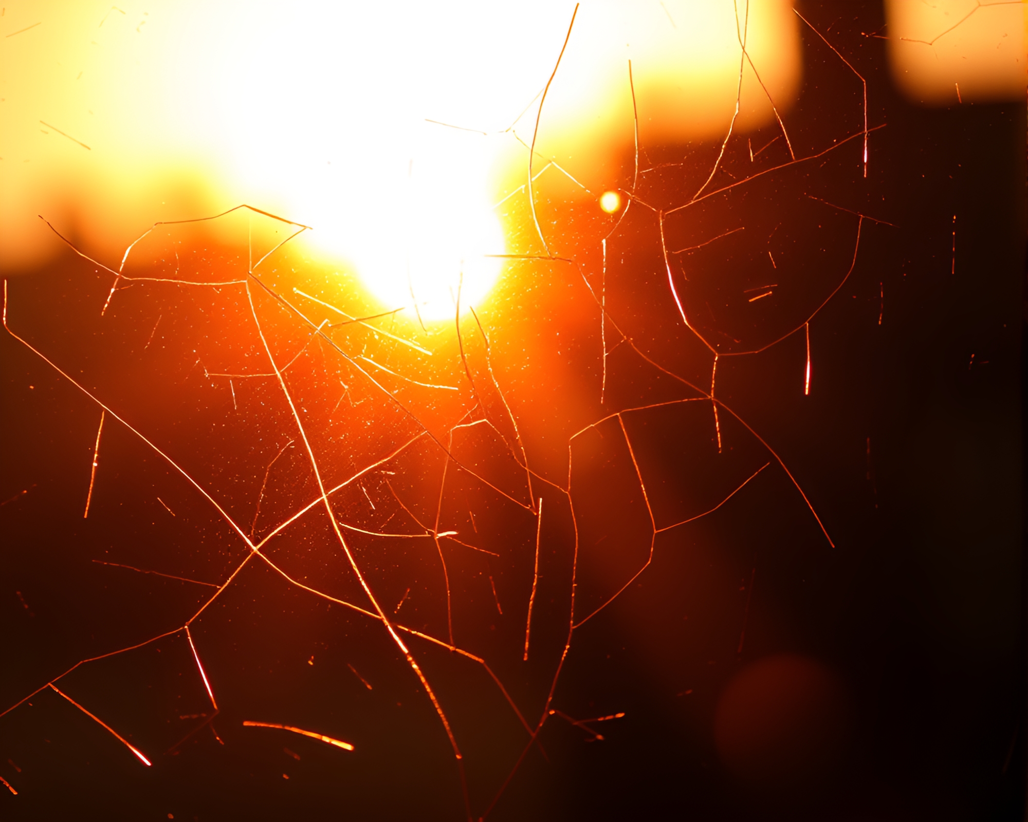 Shimmering Cello in Peachy Silhouette Glow – free AI stock image