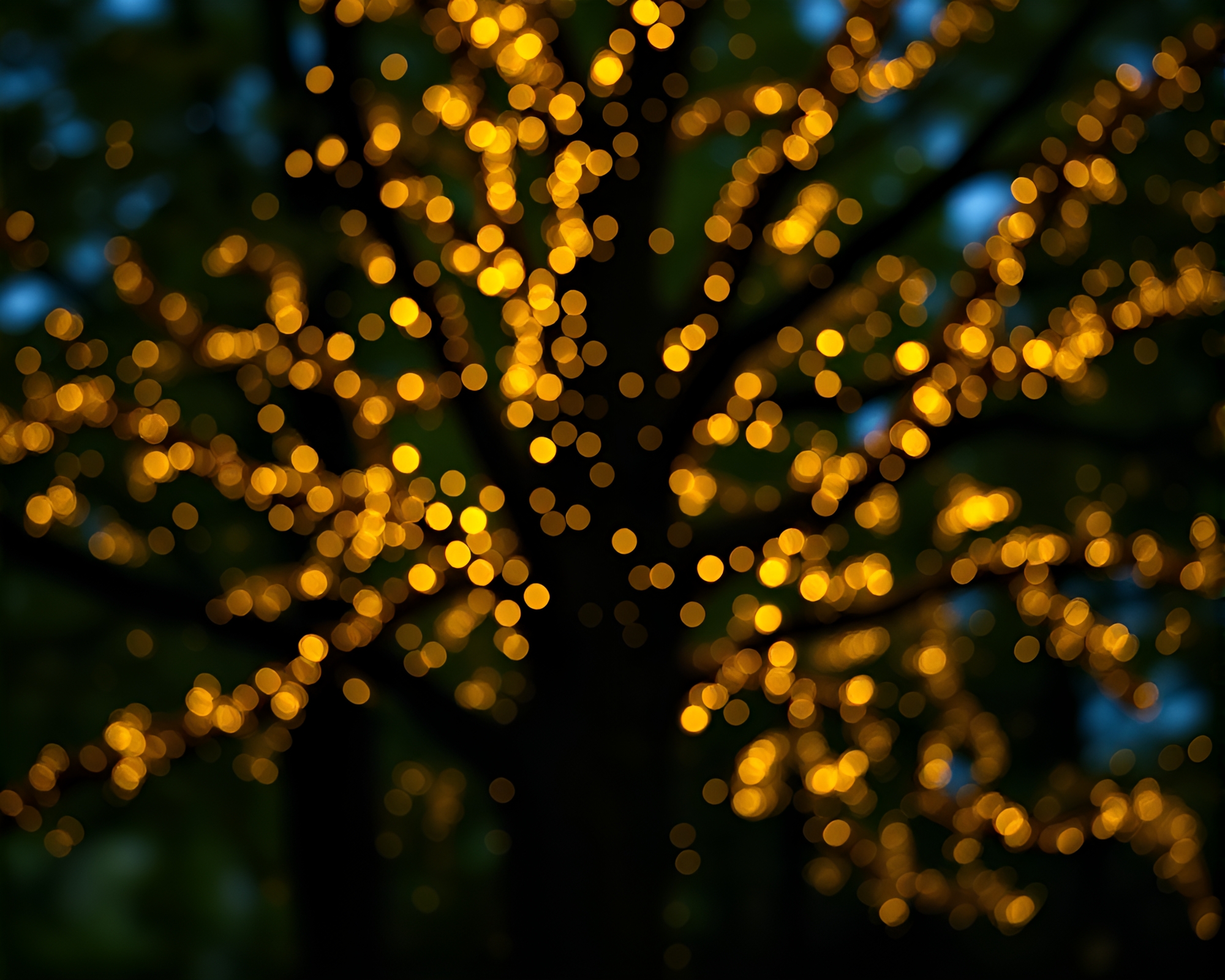 Satyr in Tree Ring Bokeh Lights Line Art – free AI stock image