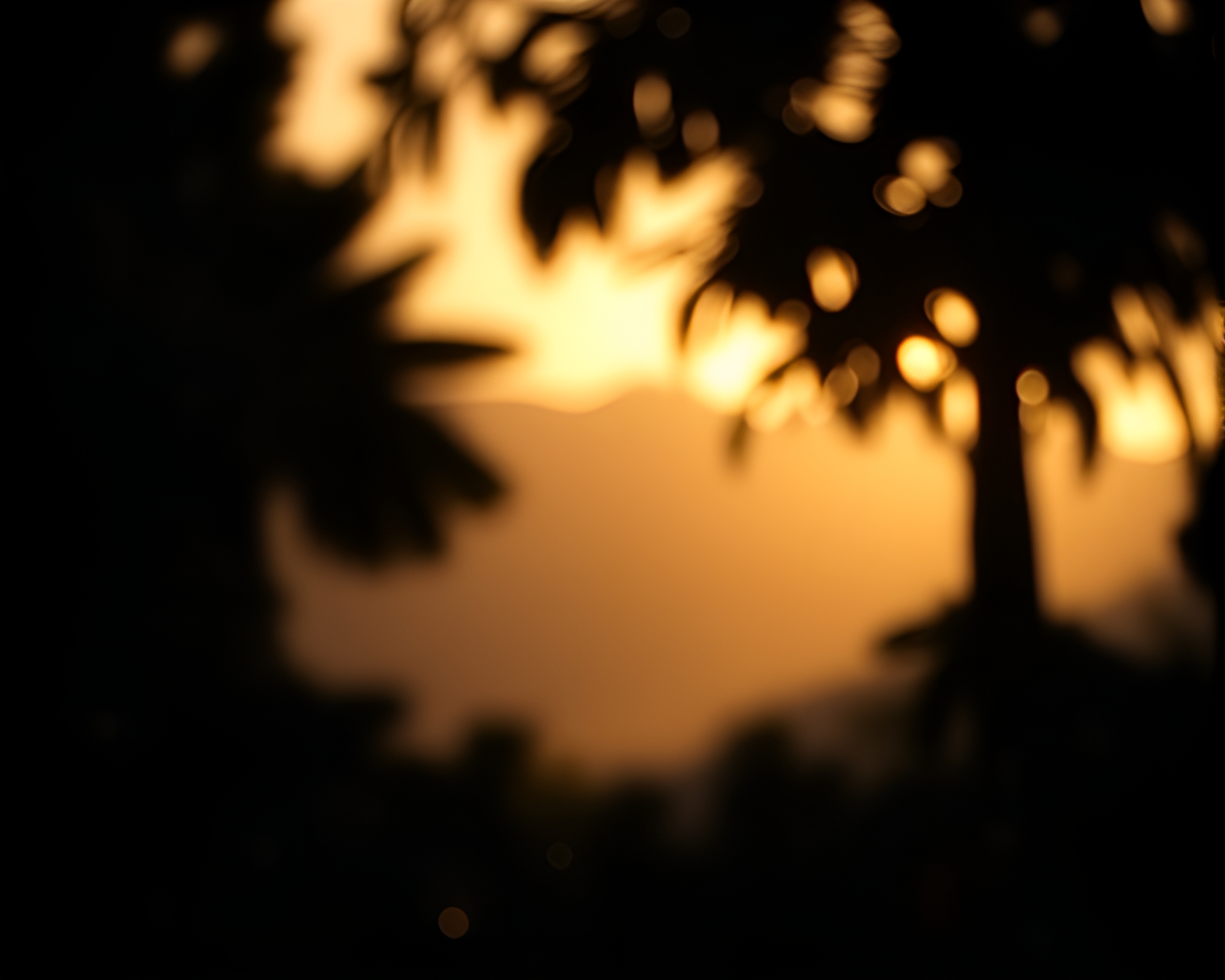 Mysterious Jungle Silhouette with Bokeh Effect Overlay – free AI stock image
