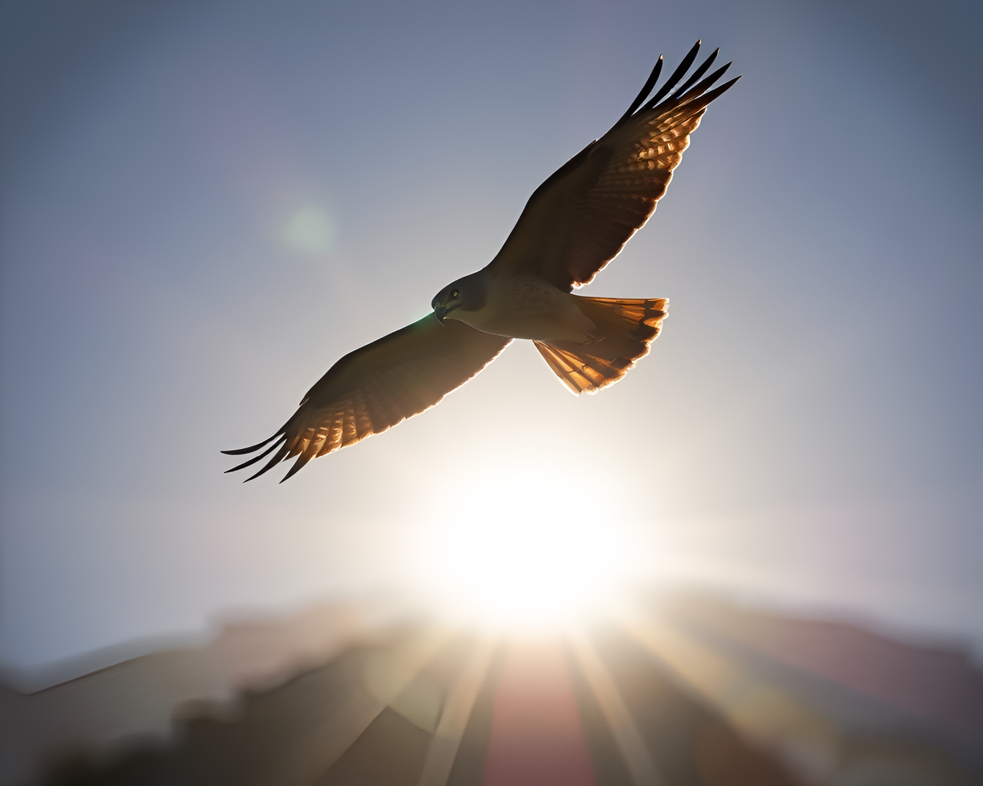 Majestic Falcon Silhouette Bathed in HDR Light – free AI stock image