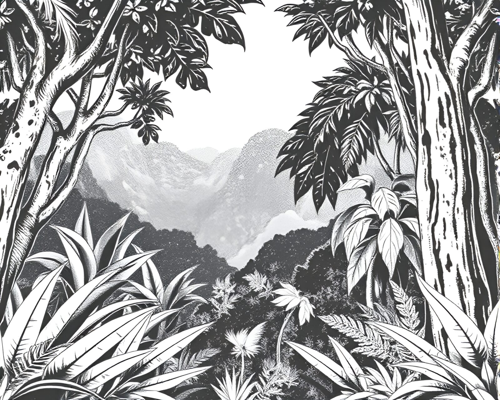 Artistic depiction of chalk scrawls in lush jungle valley