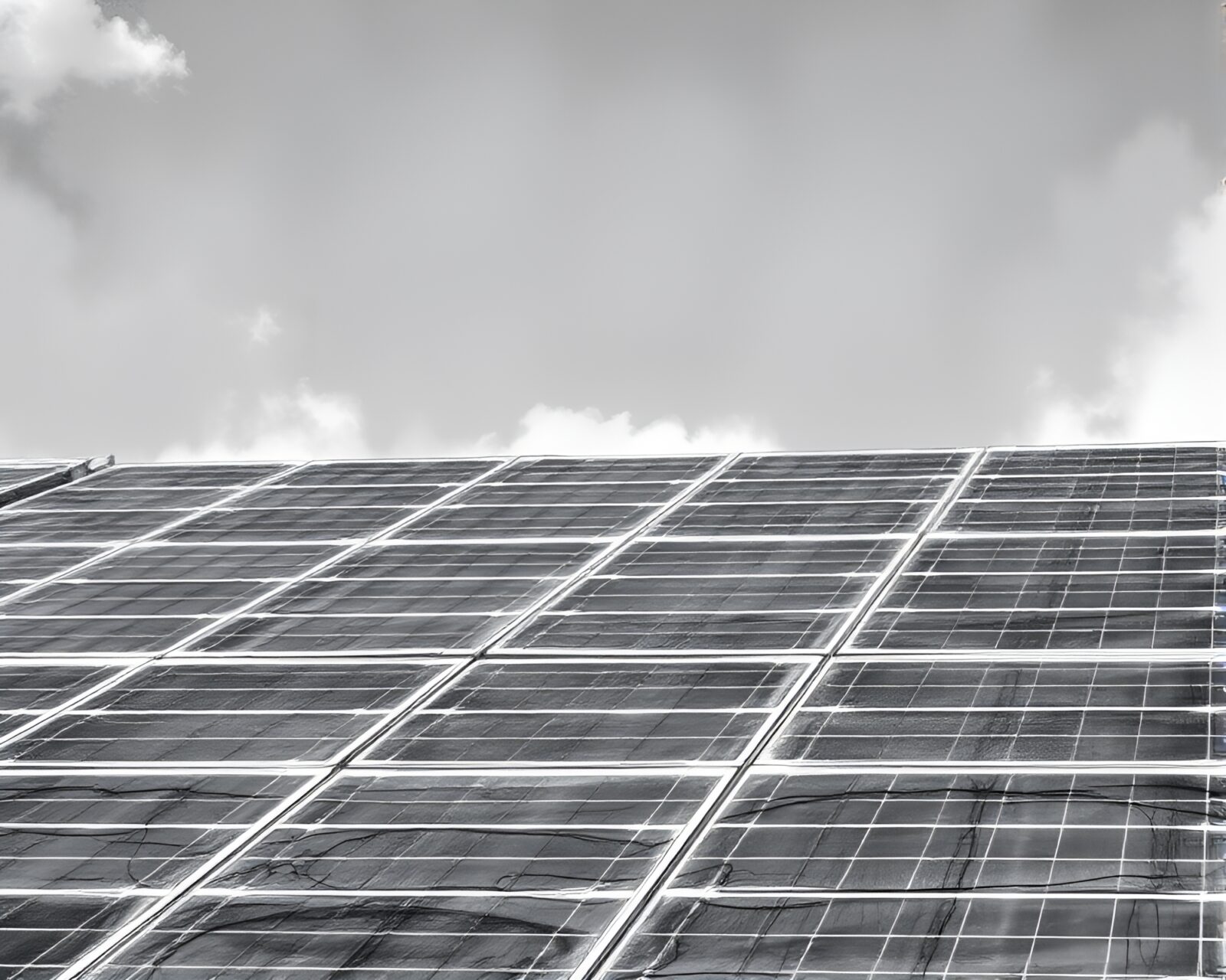 Solar panel field in high contrast monochrome sketch