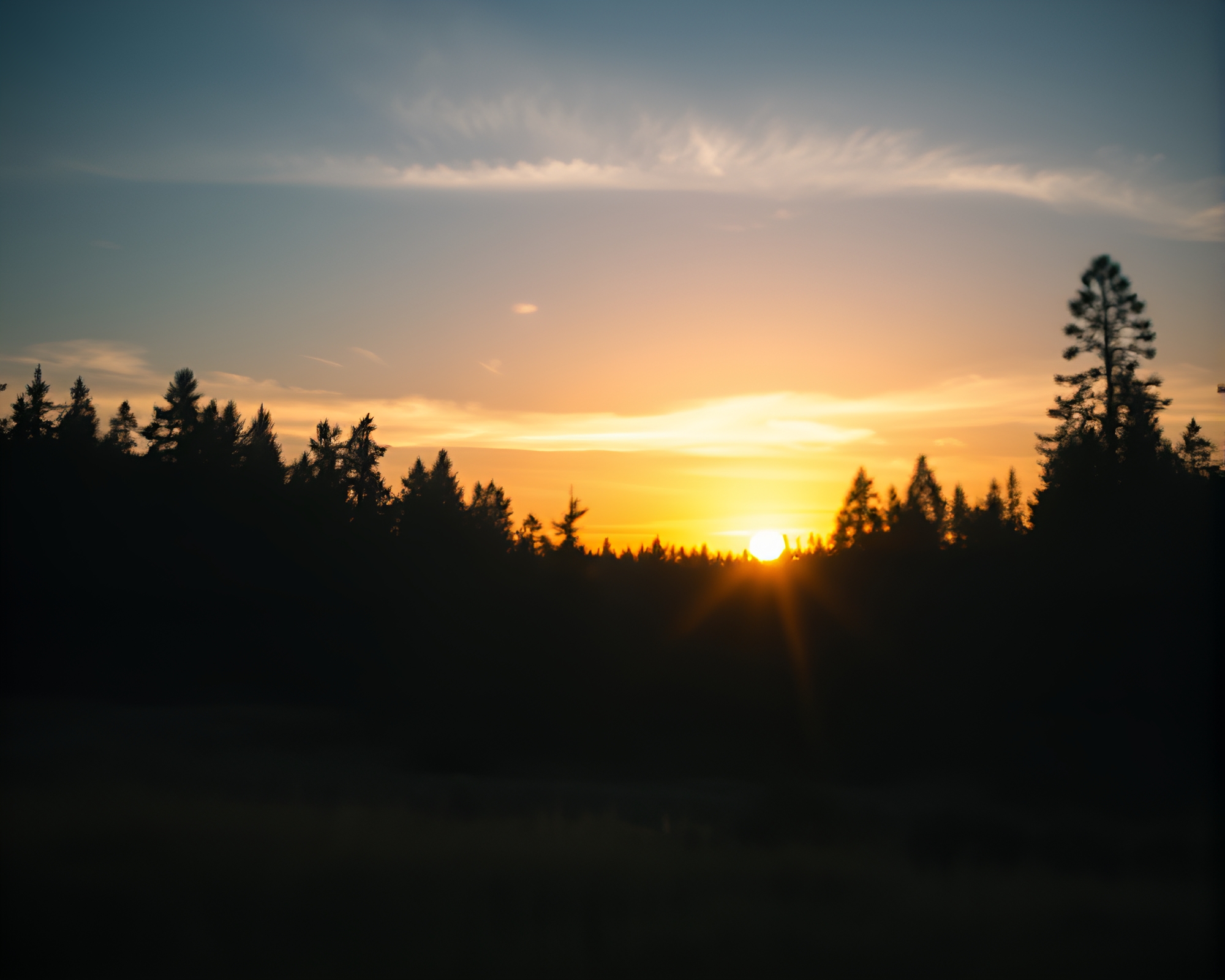 Reflective Chrome Forest Sunset: Shallow Depth of Field – free AI stock image