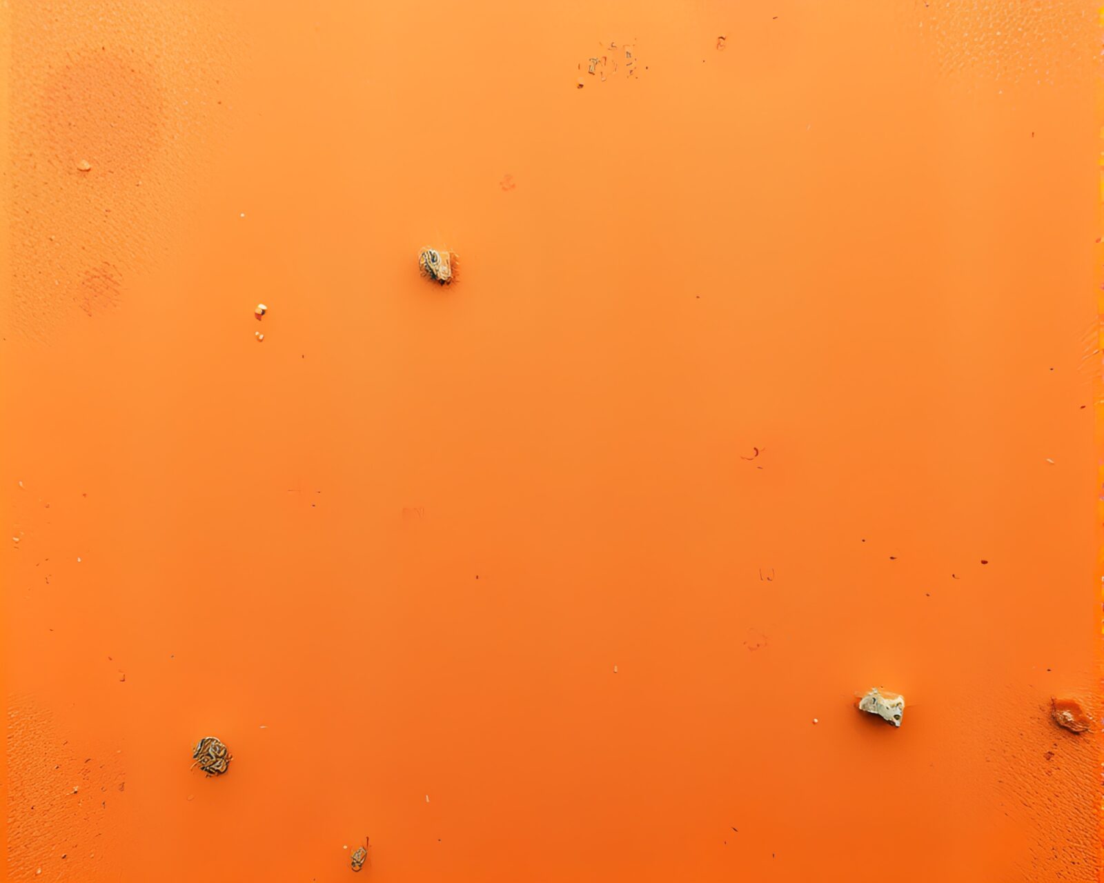 Vibrant impressionist painting of rust flake texture on sand dune