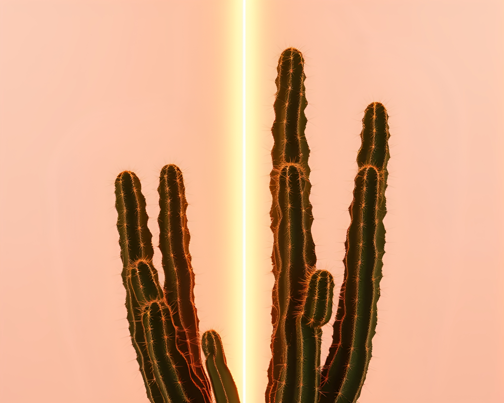 Neon Cactus Glowing in Architectural Light Trails – free AI stock image