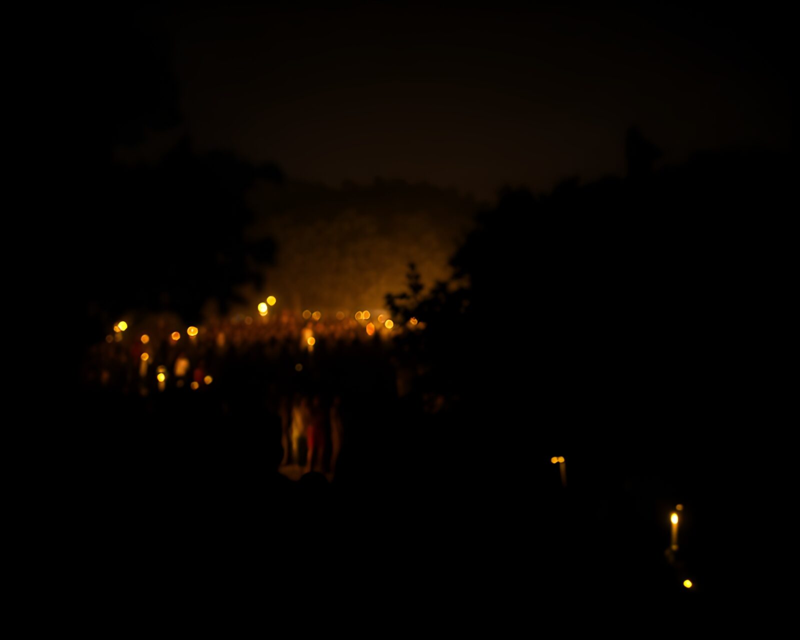 Tilt-shift photo of eerie crowd in neon-lit mangrove