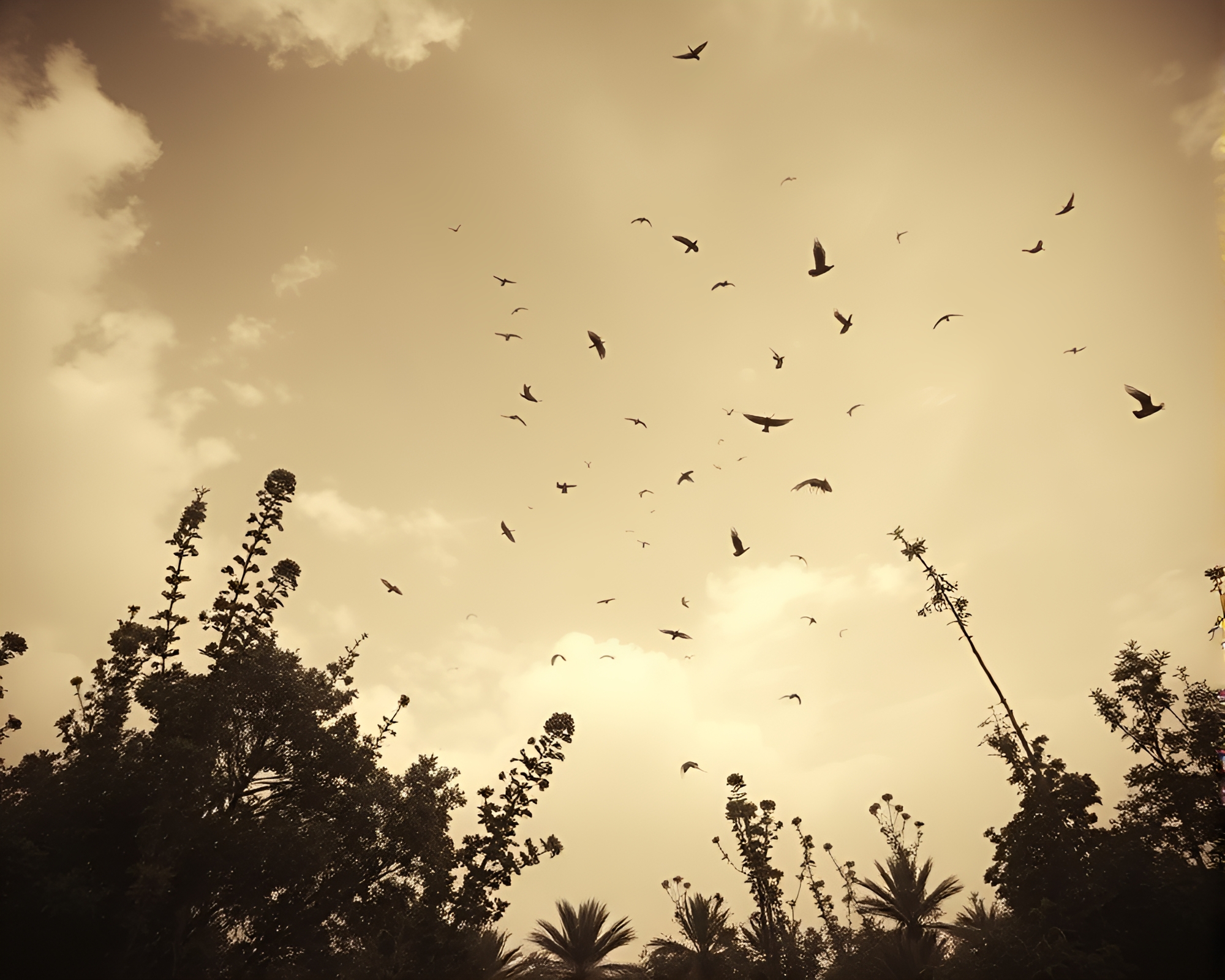 Sepia-Toned Sky Garden with Intricate Hatching Details – free AI stock image