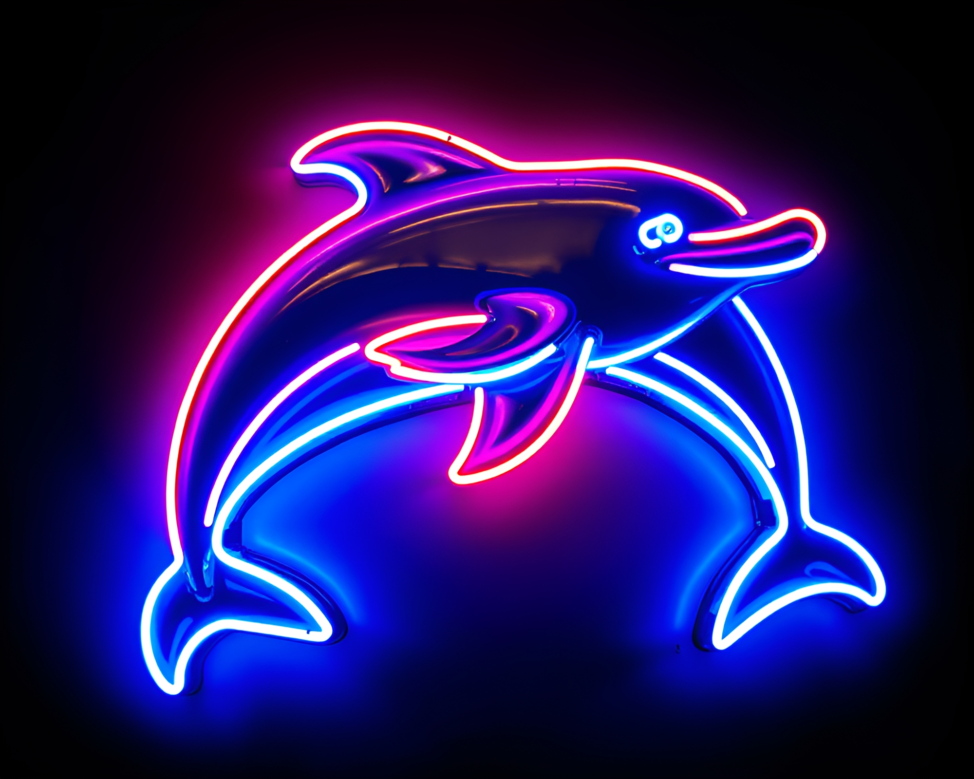 Dolphin’s Neon Abyss: Steel-Blue Fisheye Wonder – free AI stock image