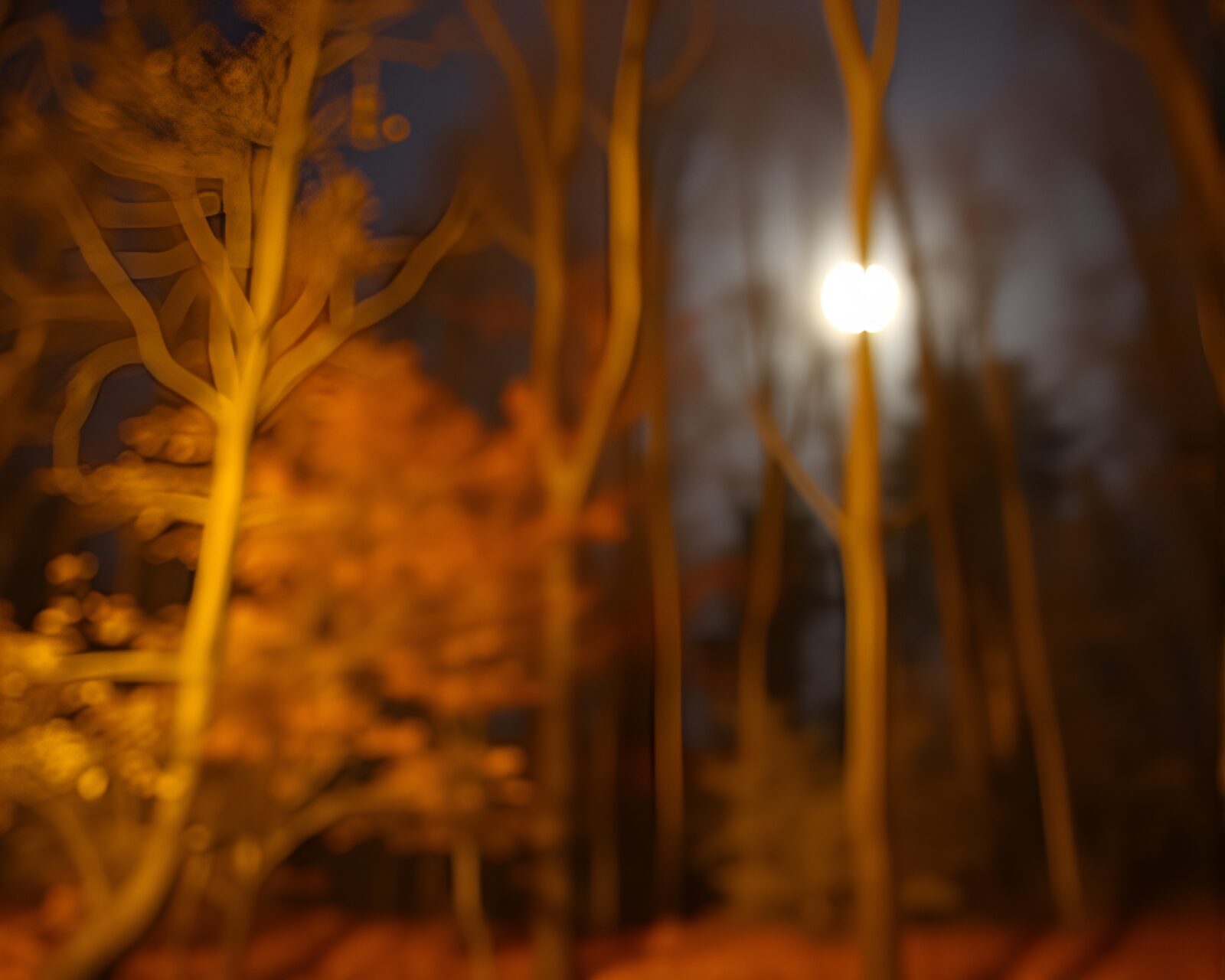 A mesmerizing autumn forest illuminated by moonlight