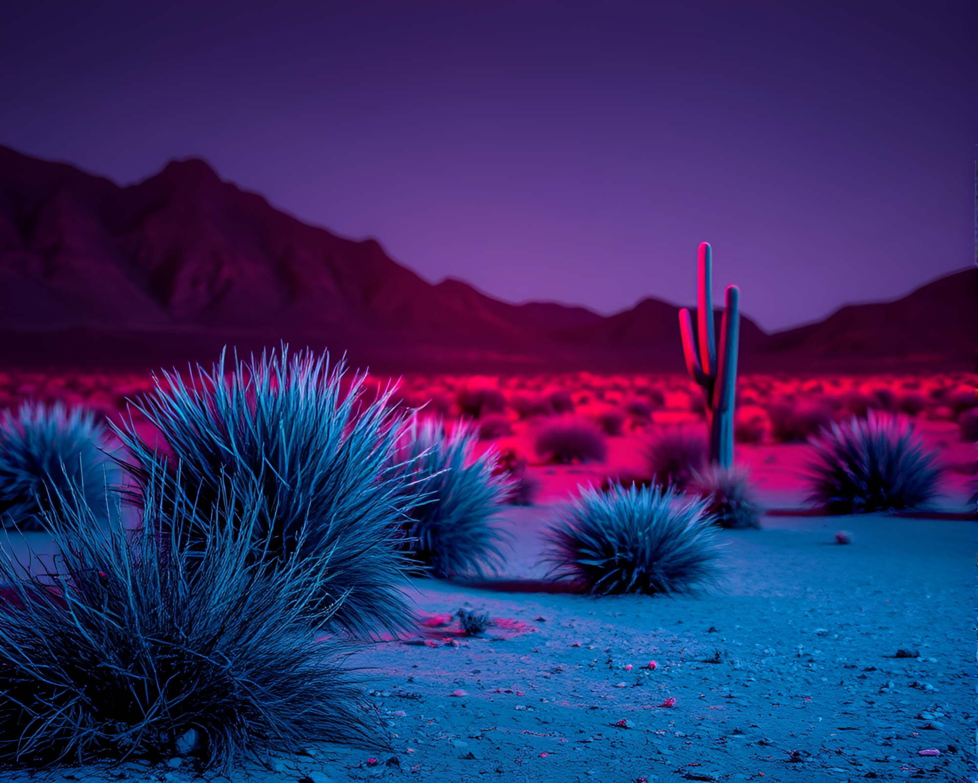 Neon Desert Oasis in Grayscale – free AI stock image