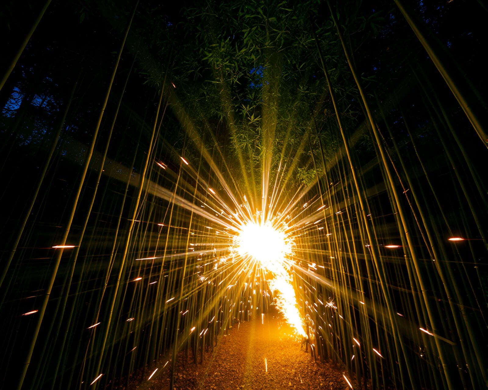 Dreamy neon-hued bamboo forest with dynamic sparkler light trails