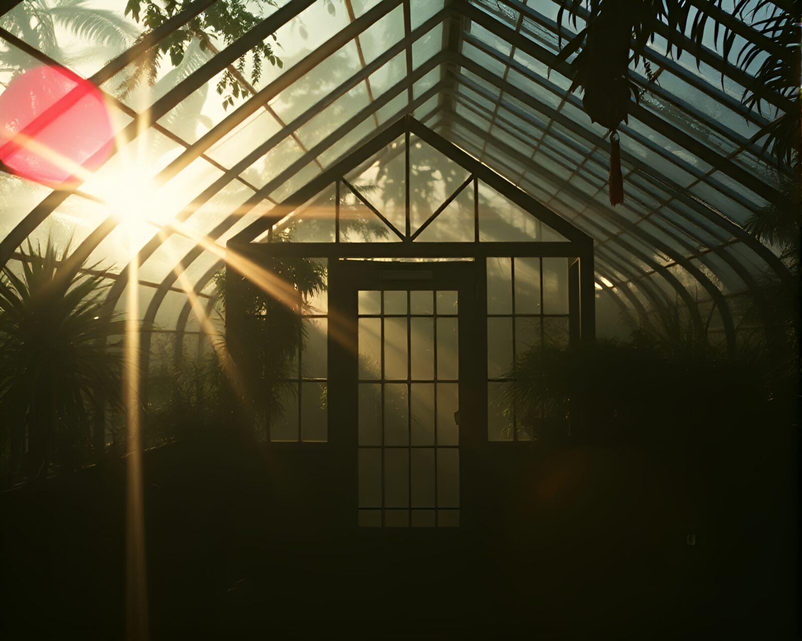 Dark and haunting image of a glass greenhouse at night