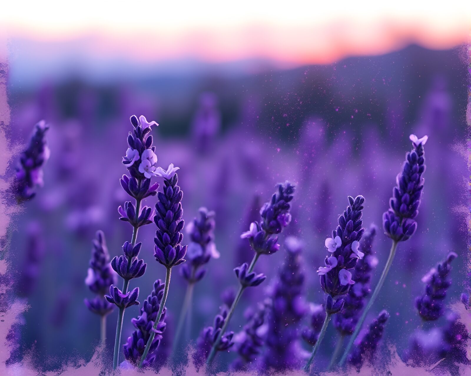 Lavender twilight scene with intricate medical illustration of spring blossoms