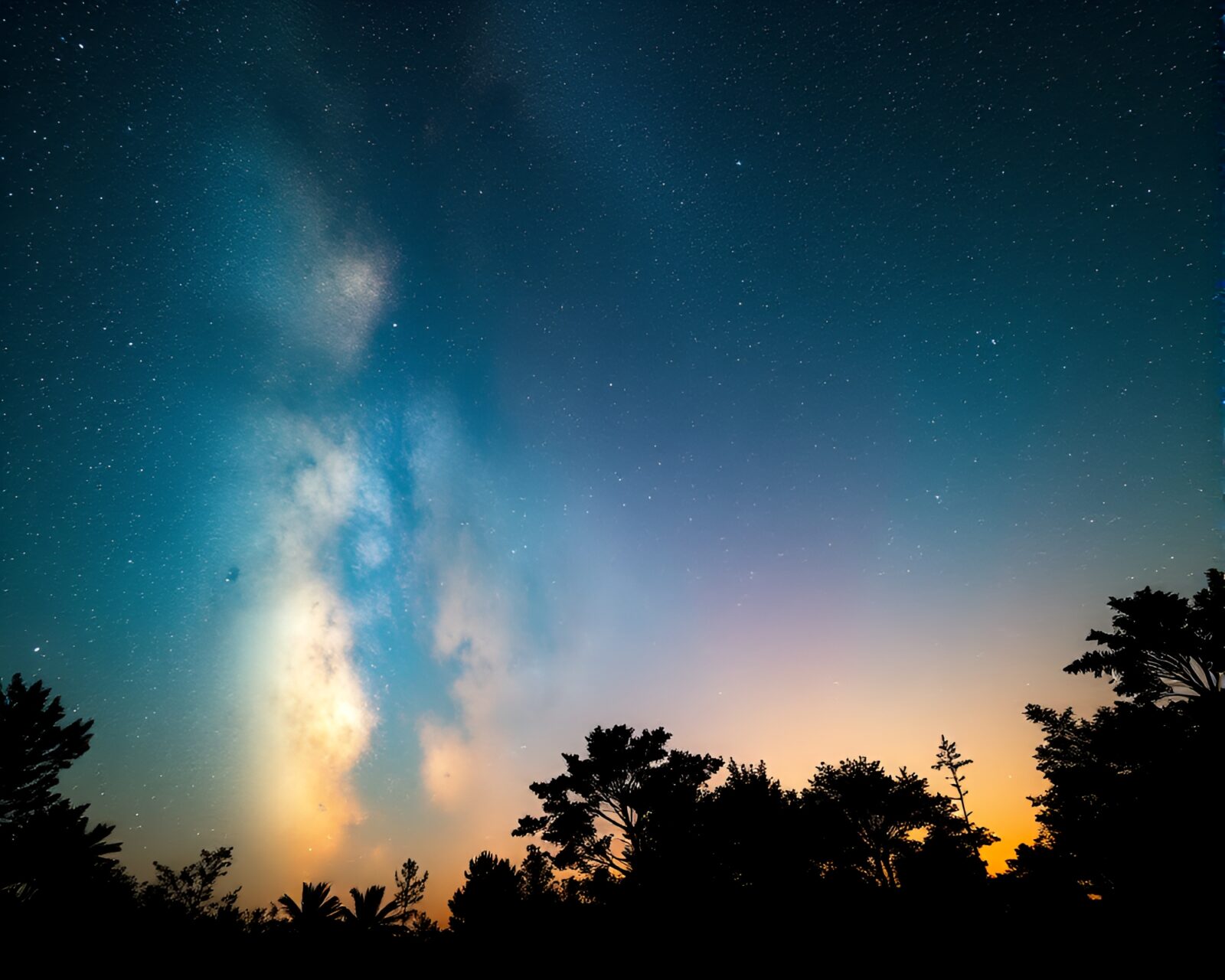 High dynamic range image of cosmic sky garden silhouette