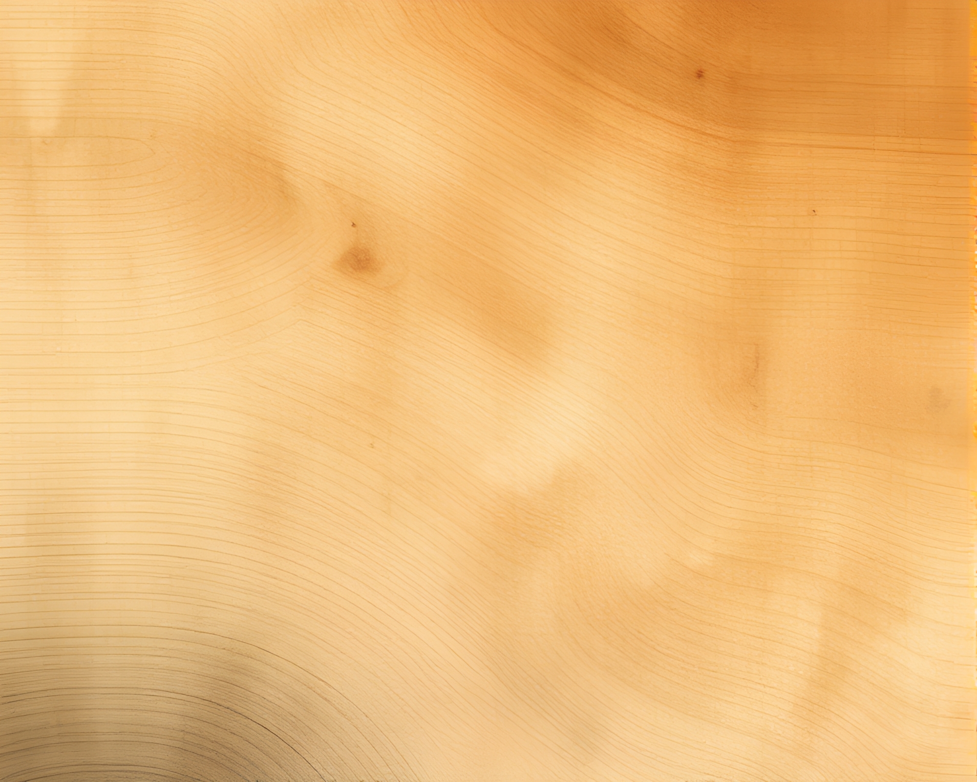 Time-Warped Woodland Dystopia – free AI stock image