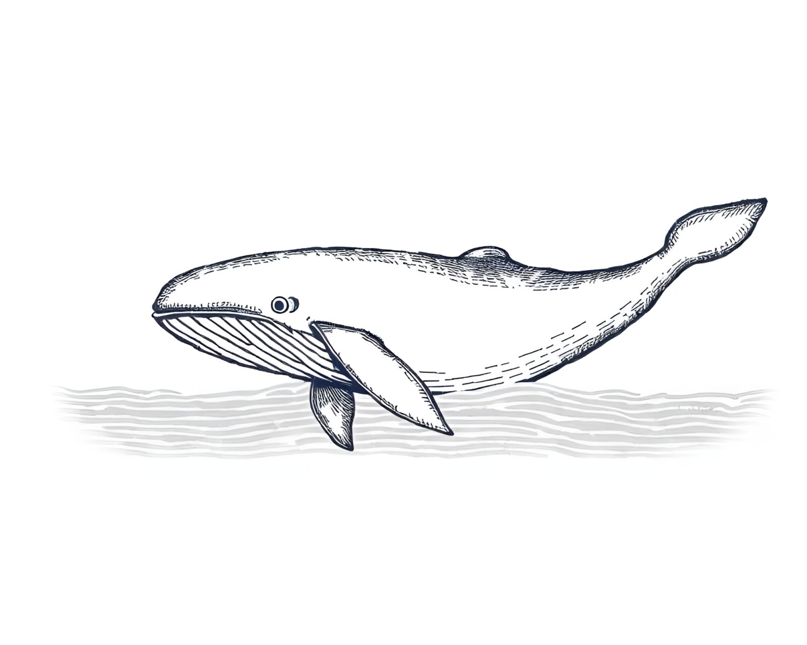 Warm off-white pixel art of whale surrounded by etching lines
