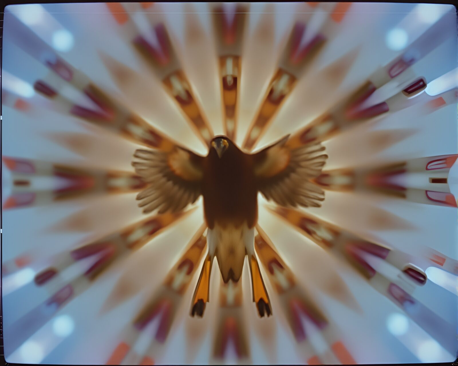 Radiant neon falcon art surrounded by Polaroid frames.