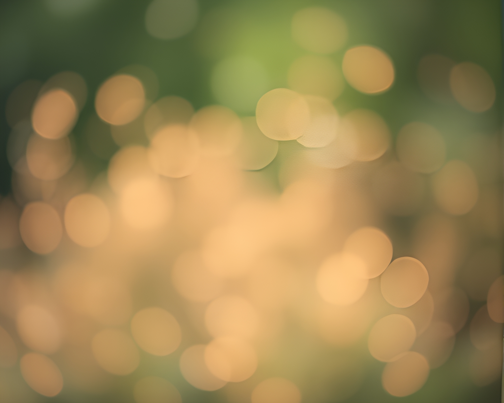 Dreamy Oasis: Misty Light Through Soft Focus Bokeh – free AI stock image