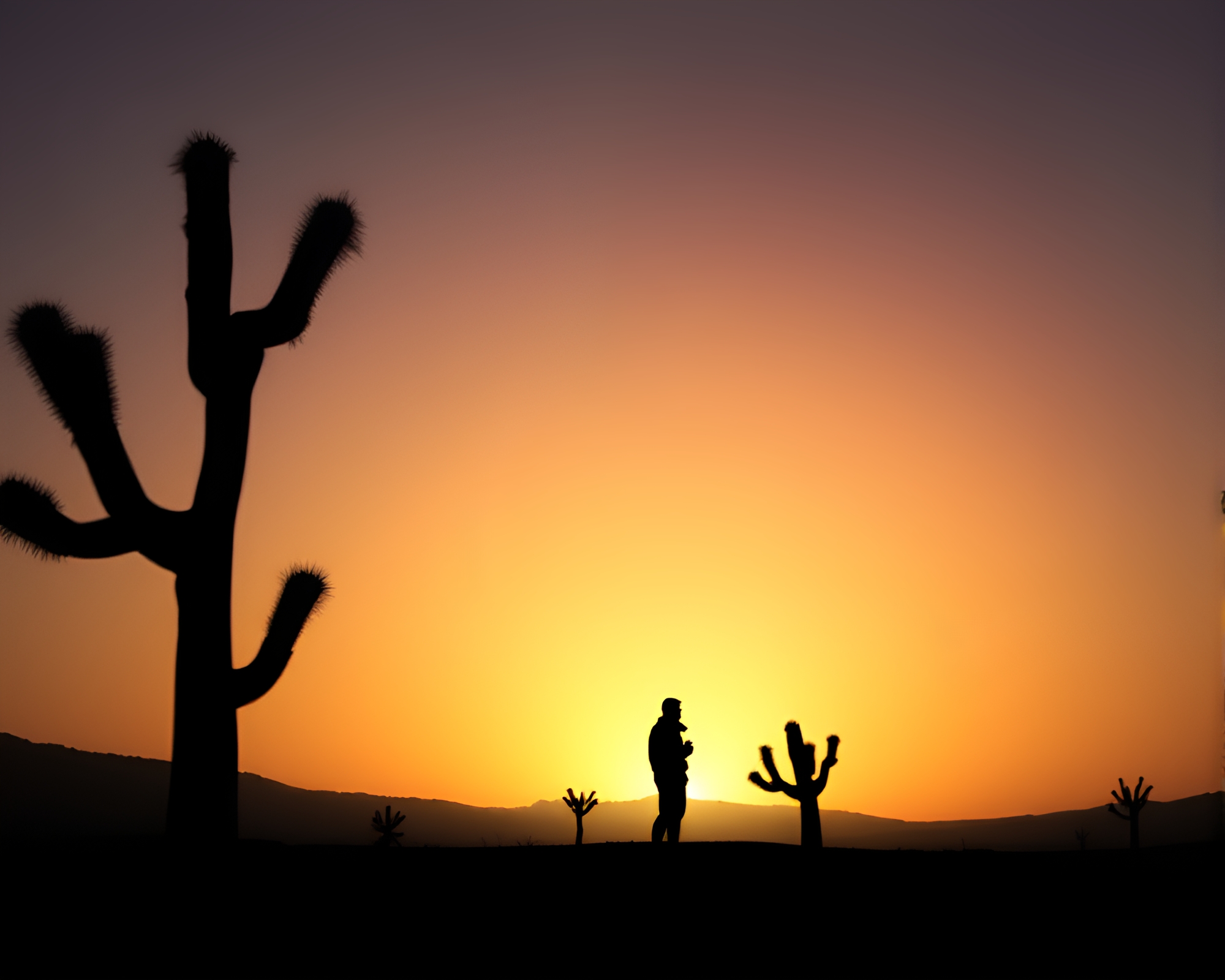 Prismatic Silhouette in X-ray Style Desert Scene – free AI stock image